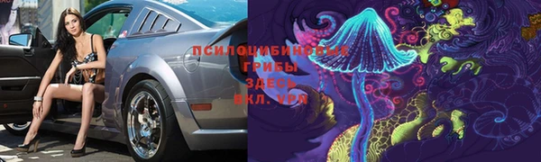 герыч Богородск