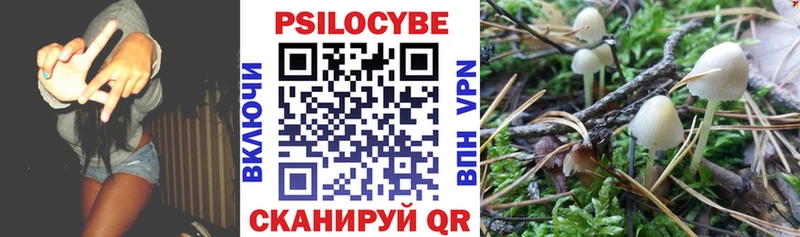 мега онион  Нижний Новгород  Галлюциногенные грибы мухоморы 